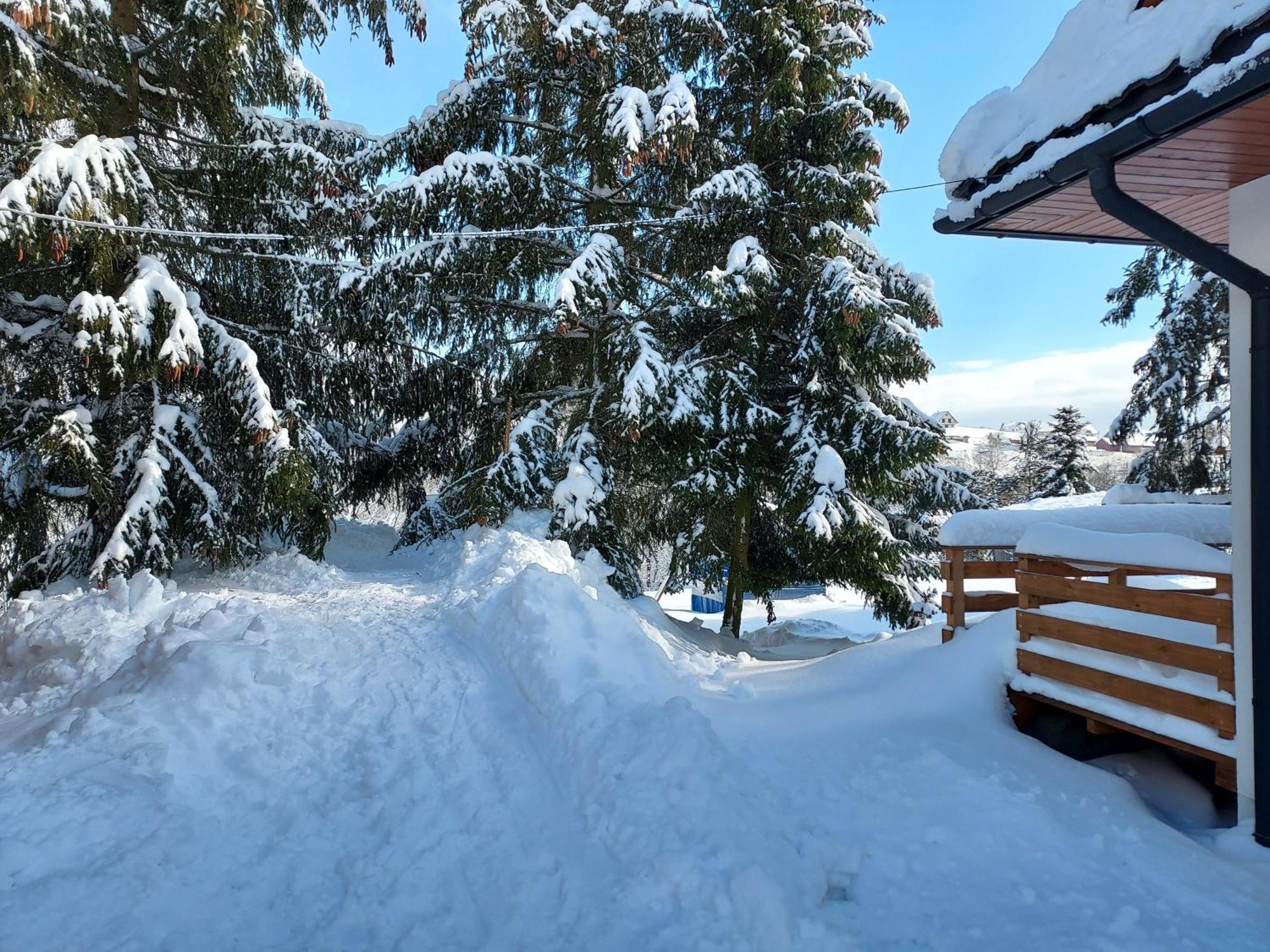 Noclegi Nad Czarna Orawa Podwilk Exterior photo
